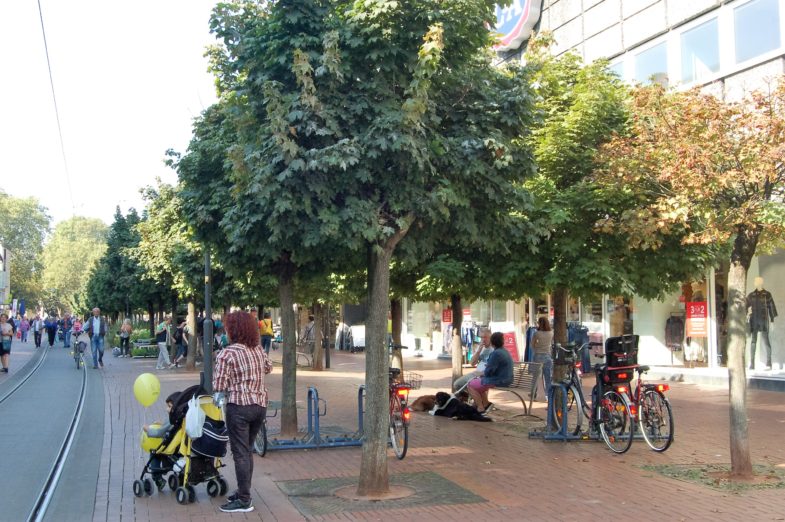 Ahorn-Allee