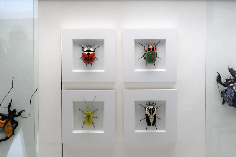 Käfer von Ross de Wayne Campbell