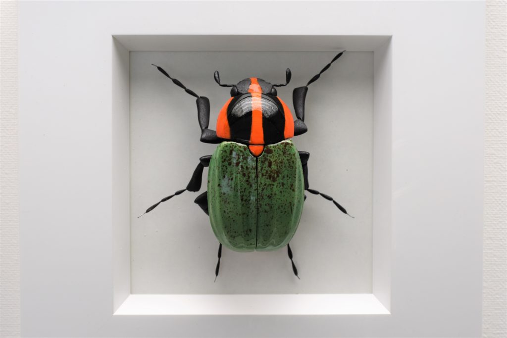 Grün-schwarz-orangefarbener Käfer von Ross de Wayne Campbell