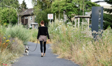 Jubiläumsalle in Bachem mit Hund und Halterin