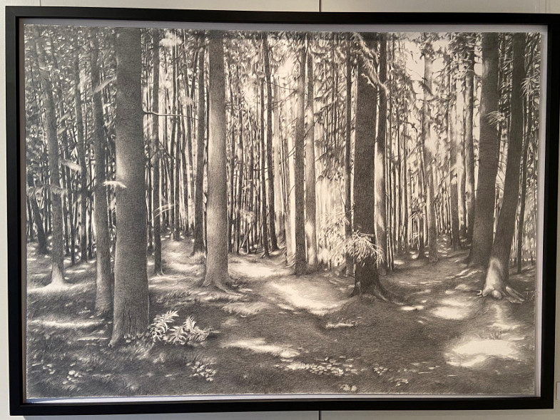 Angelika Schneeberger, Ausstellung "wo Licht ist" im Inklusiven Begegnungszetrum der Gold-Kraemer-Stiftung, Ardennen