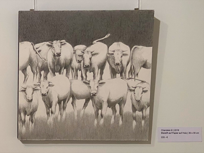 Angelika Schneeberger, Ausstellung "wo Licht ist" im Inklusiven Begegnungszetrum der Gold-Kraemer-Stiftung, Charolais III