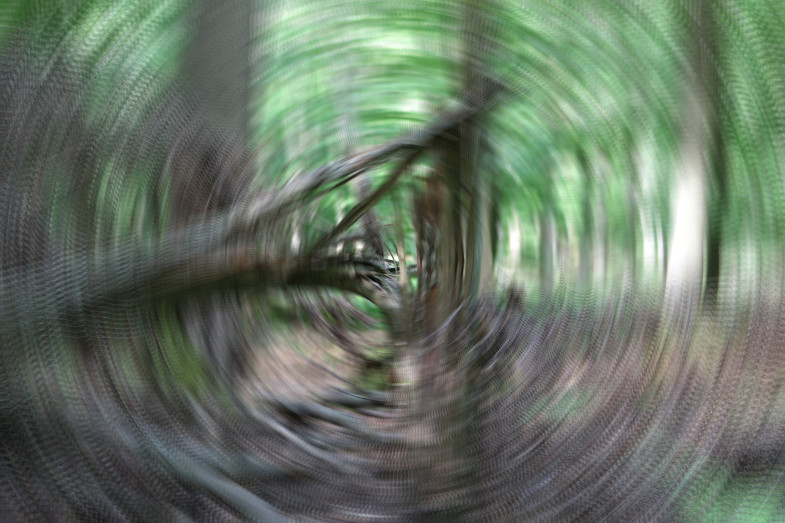 Beitrag von Harald Meyer-Schrauth, Ausstellung "Drehmoment", Kunstverein zu Frechen
