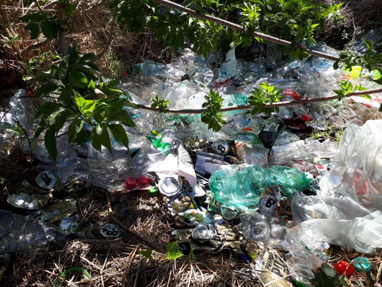 Pfandflaschen in der Natur entsorgt.